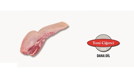 DANA DİL